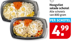  hoogvliet huismerk saladeschotel salade schotel schotels 