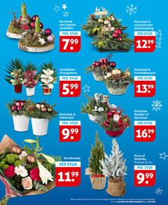 klik op dit plaatje voor een vergroting en voor vergelijkbare aanbiedingen gerelateerd aan
kerststuk hyacint berken stuk stervorm ledverlichting cymbidium arrangement keramieken pot zinken rendier kerstman kerstboeket potmaat cm bloemen planten winkels admiraal kerststuk hyacint berken stuk stervorm ledverlichting cymbidium arrangement keramieken pot zinken rendier kerstman kerstboeket potmaat cm bloemen planten winkels admiraal