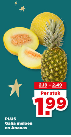  galia meloen ananas stuk 
