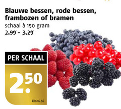  frambozen bramen blauwe bessen rode 150 250 schaal kilo 