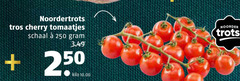  cherry tomaten 250 noordertrots tros tomaatjes schaal kilo noorder trots 