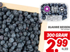  blauwe bessen 300 berry world with goodness grown schaal 
