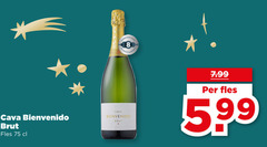  champagne sparkling wijn cava brut fles 5 99 