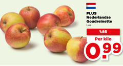  goudreinetten nederlandse goudreinette kilo 