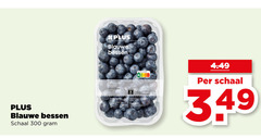  blauwe bessen 300 schaal 