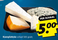  buitenlandse kaas 500 kaasplateau schaal 