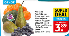  blauwe bessen peren mandarijnen avocado 2 4 150 750 ripe ready to schaal stuks conference super deal 