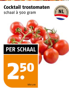  trostomaten 250 500 cocktail schaal kilo nederlandse nl 