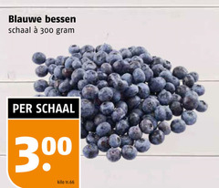  blauwe bessen 300 schaal kilo 