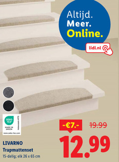  traptredematten 15 26 65 online lidl.nl green hohenstein livarno trapmattenset delig cm 