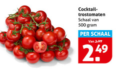  trostomaten 500 cocktail schaal 2 