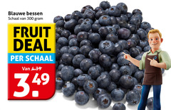  blauwe bessen 300 schaal fruit deal 