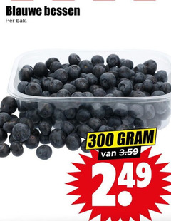  blauwe bessen 300 bak 