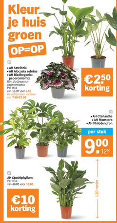 klik op dit plaatje voor een vergroting en voor vergelijkbare aanbiedingen gerelateerd aan
kamerplanten 10 250 kleur huis groen strelitzia alocasia zebrina peperomiamix stuk varieeren spathiphyllum monstera philodendron meter kamerplanten 10 250 kleur huis groen strelitzia alocasia zebrina peperomiamix stuk varieeren spathiphyllum monstera philodendron meter