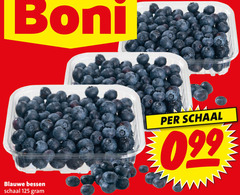  blauwe bessen schaal 