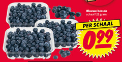  blauwe bessen schaal 