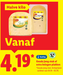  kaas kaasplakken 25 halve kilo jong belegen koeling gouda stuk varieeren 