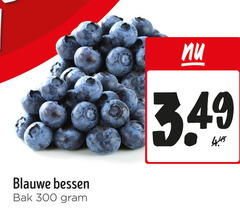  blauwe bessen 300 bak 