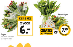 klik op dit plaatje voor een vergroting en voor vergelijkbare aanbiedingen gerelateerd aan
2 tulpen bicolor maas kleuren bos mix punten happy dag laag 2 tulpen bicolor maas kleuren bos mix punten happy dag laag