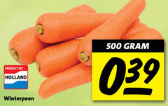  winterpeen 500 holland 