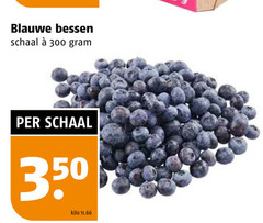  blauwe bessen 300 350 schaal kilo 