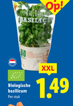  kruidenplanten bio xxl biologische basilicum stuk 