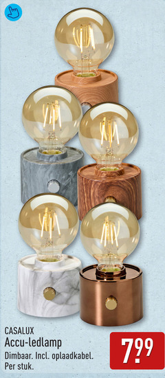  accu ledlamp dimbaar oplaadkabel stuk 