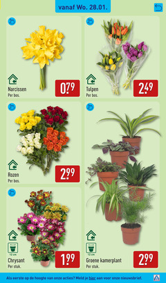 klik op dit plaatje voor een vergroting en voor vergelijkbare aanbiedingen gerelateerd aan
12 narcissen bos tulpen rozen cm chrysant stuk groene kamerplant hoogte meld 12 narcissen bos tulpen rozen cm chrysant stuk groene kamerplant hoogte meld
