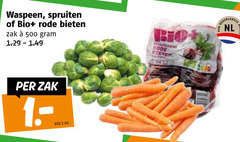  500 waspeen spruiten bio rode bieten zak kilo nederlandse nl 