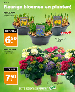  14 20 23 34 35 650 750 week fleurige bloemen planten bollen schaal potmaat cm hoogte ca. kamer hortensia narcissus adriana muscari blus voorjaar huis pot lange bloei regionale supermarkt supermarkten 