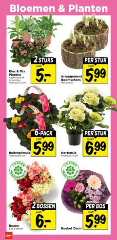  2 6 9 12 14 bloemen planten mix potmaat cm stuks arrangement boomschors bollen stuk 5.99 dagen pack hortensia 99 rozen bos stelen voordeel bossen boeket demi 
