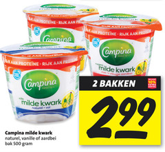  2 10 500 rijk campina volle anno milde kwark naturel vleugje aardbei bakken vanille bak 