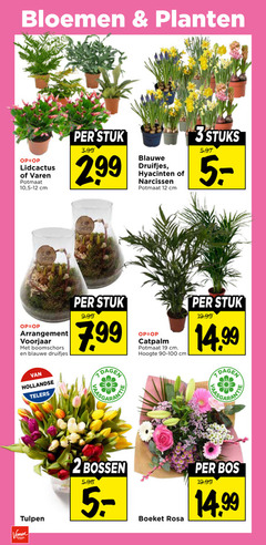 klik op dit plaatje voor een vergroting en voor vergelijkbare aanbiedingen gerelateerd aan
2 12 19 bloemen planten varen potmaat 10 cm stuk 3.99 blauwe druifjes hyacinten narcissen 3stuks arrangement voorjaar boomschors hollandse telers dagen hoogte 90-100 tulpen voordeel bossen boeket rosa bos 2 12 19 bloemen planten varen potmaat 10 cm stuk 3.99 blauwe druifjes hyacinten narcissen 3stuks arrangement voorjaar boomschors hollandse telers dagen hoogte 90-100 tulpen voordeel bossen boeket rosa bos