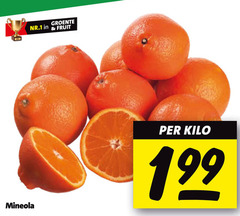  mineola nr.1 groente fruit kilo 