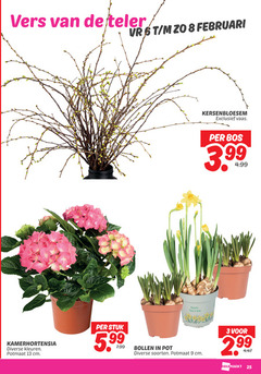 klik op dit plaatje voor een vergroting en voor vergelijkbare aanbiedingen gerelateerd aan
3 8 9 13 25 vers teler kamerhortensia kleuren potmaat cm narcis kersenbloesem vaas bos 3.99 stuk 5.99 bollen pot soorten 3 8 9 13 25 vers teler kamerhortensia kleuren potmaat cm narcis kersenbloesem vaas bos 3.99 stuk 5.99 bollen pot soorten