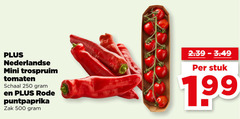  250 500 nederlandse mini tomaten schaal rode puntpaprika zak stuk 
