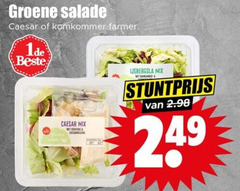  groene salade caesar komkommer farmer mix croutons ijsbergsla 
