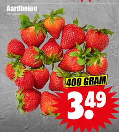 400 aardbeien schaal 
