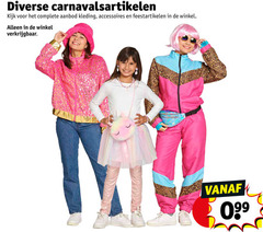  aanbod kleding accessoires feestartikelen 