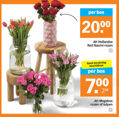  bos 200 hollandse red naomi rozen beschikbaar 00 tulpen 