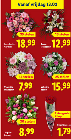  14 16 25 30 35 vrijdag luxe boeket germini stelen rozenmest valentijn tulpen knop valentijnsroos 