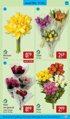 klik op dit plaatje voor een vergroting en voor vergelijkbare aanbiedingen gerelateerd aan
60 narcissen bos tulpen rozen gipskruid lengte stengel cm hoogte meld 60 narcissen bos tulpen rozen gipskruid lengte stengel cm hoogte meld
