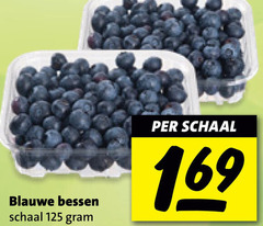  blauwe bessen schaal 