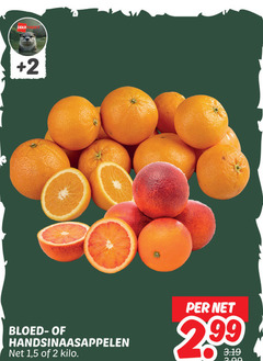  bloedsinaasappelen handsinaasappelen 2 deka ark bloed 1 5 kilo 99 