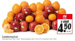  appels mandarijnen 1 2 4 150 tessa combikorting fruit kilo zak 