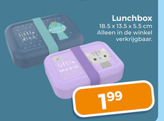  lunchbox dino little cm 