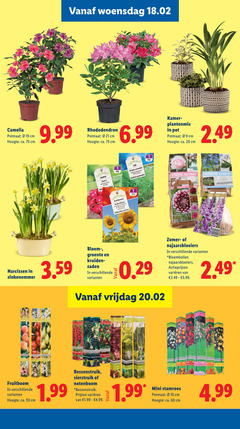  1 2 3 5 10 20 60 woensdag camelia potmaat cm hoogte ca. rhododendron kamer plantenmix pot deal for early sunflowers riesen background plant flower and cutting helianthus aromatic delicate leaves quark paeonia sarah shades agapanthus narcissen bloem groente kruiden zaden vrijdag zomer najaarsbloeiers bloembollen varieeren 5.99 fruitboom mini stamroos 