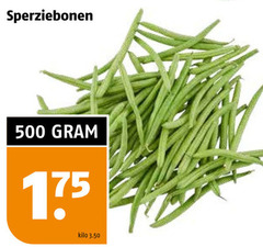  sperziebonen 500 kilo 