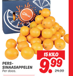  15 citrus perssinaasappelen sinaasappelen doos kilo 