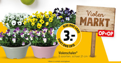  5 violen markt dag soorten schaal cm 